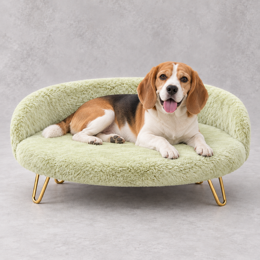 Luxe Plush Pet Bed with Gold Legs – Mint Green (Sofa-Style)