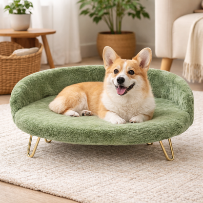 Luxe Plush Sofa-Style Pet Bed with Gold Legs – Green