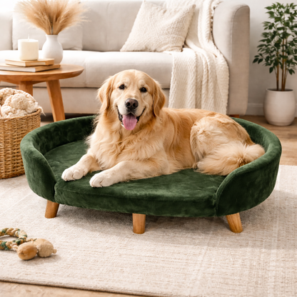 Luxe Raised Pet Sofa Bed for Large Dogs – Forest Green