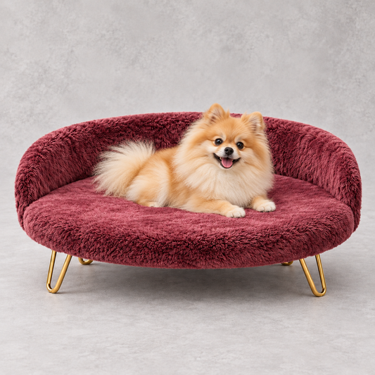 Luxe Plush Pet Bed with Gold Legs – Wine Burgundy (Sofa-Style)