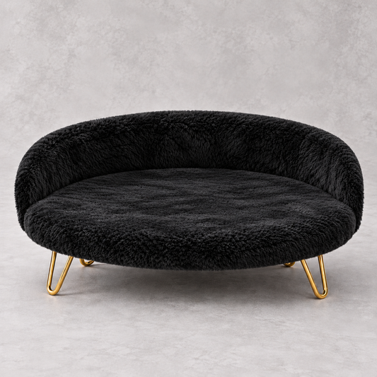 Luxe Plush Pet Bed with Gold Legs – Black (Sofa-Style)
