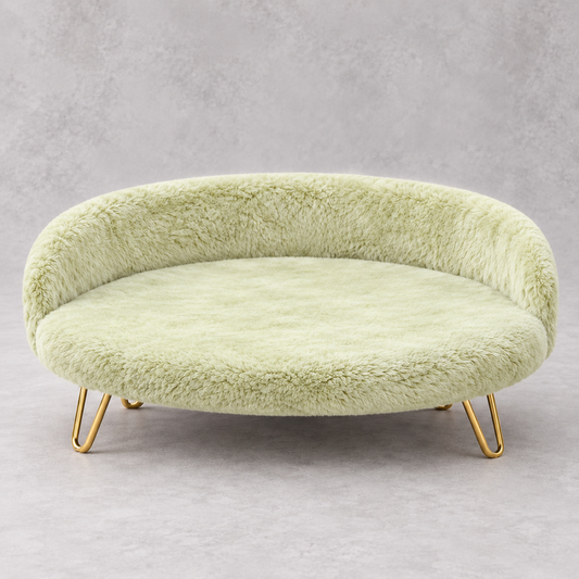 Luxe Plush Pet Bed with Gold Legs – Mint Green (Sofa-Style)