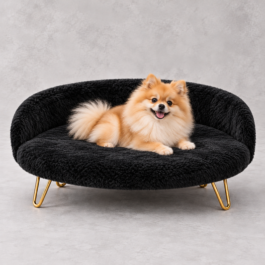Luxe Plush Pet Bed with Gold Legs – Black (Sofa-Style)