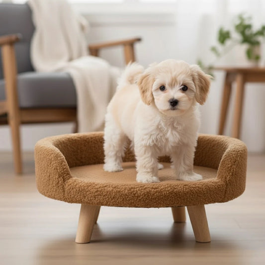 Plush Luxe Pet Bed - Mocha Beige